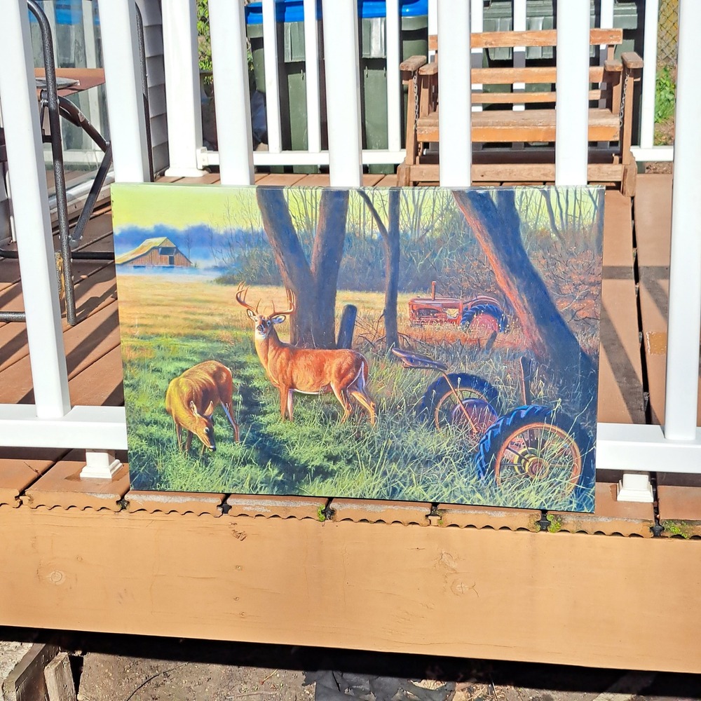 Dallen Lambson Wildlife Art Canvas Print Whitetail Deer Barn Tractor Landscape